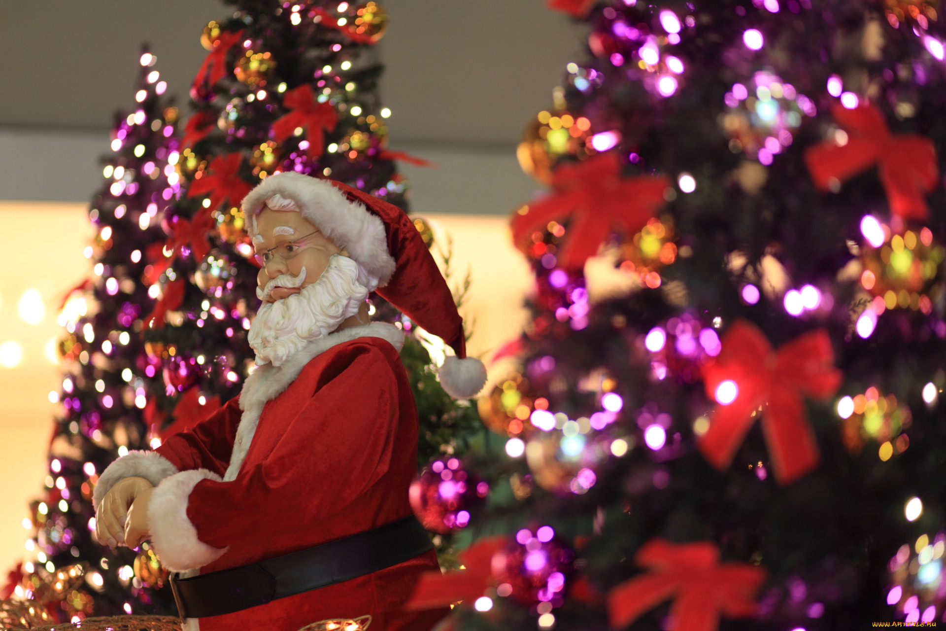 Christmas santa. Santa Клаус и елка. Санта-Клаус. Новый год дед Мороз. Новогодняя елка и дед Мороз.